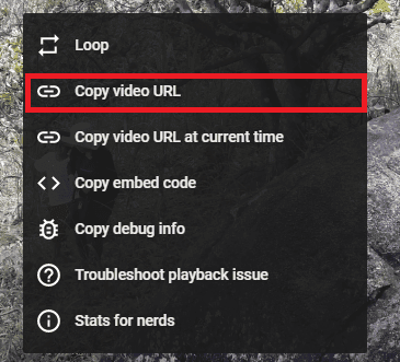 Copy YouTube Video URL