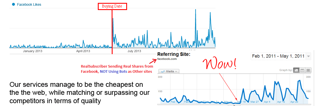 Real Facebook likes by RealSubscriber 2011